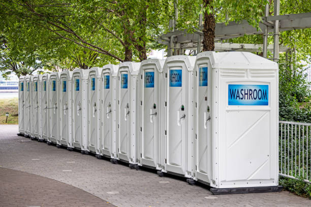 Best High-end porta potty rental  in Lodi, WI