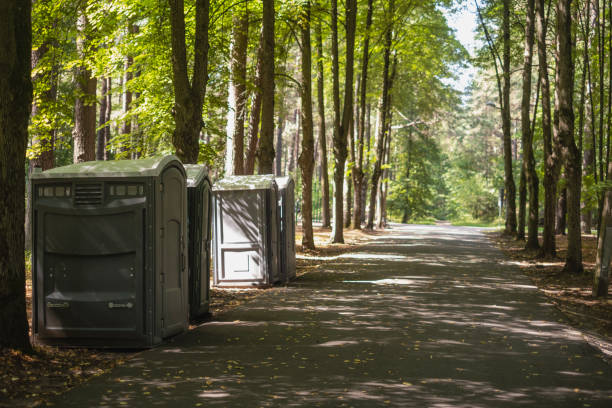 Best Portable bathroom rental  in Lodi, WI